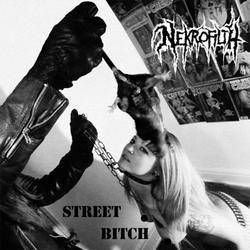 Nekrofilth : Street Bitch